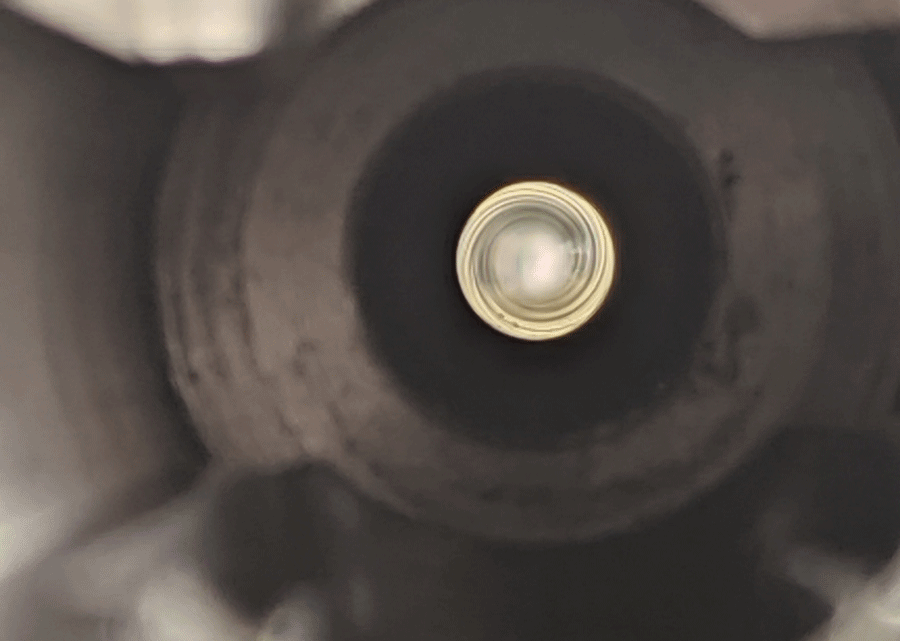 Rifle barrel throat and rifling visible.