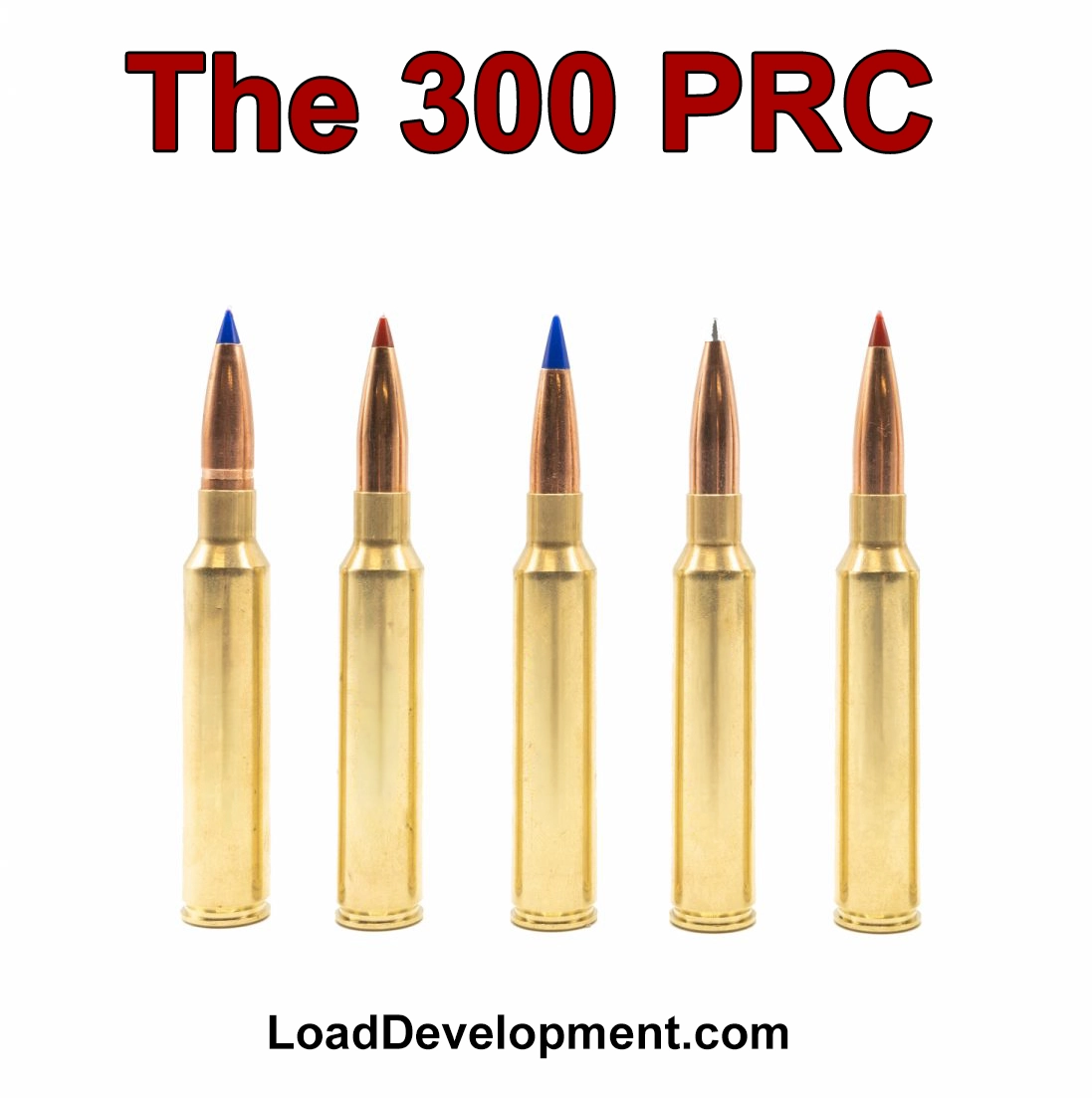 different bullets seated in 300 prc cases
