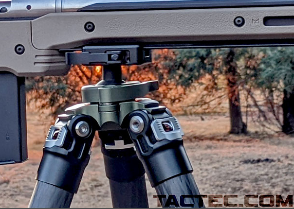 rifle arca rail