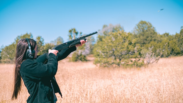 shotgun pellets long range