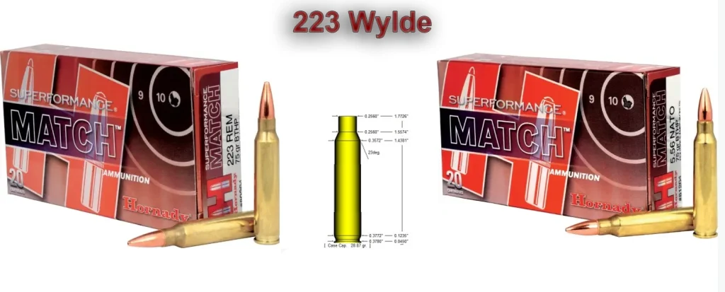 223 and 5.56 ammo