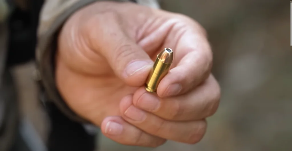 hornady back country defense ammunition