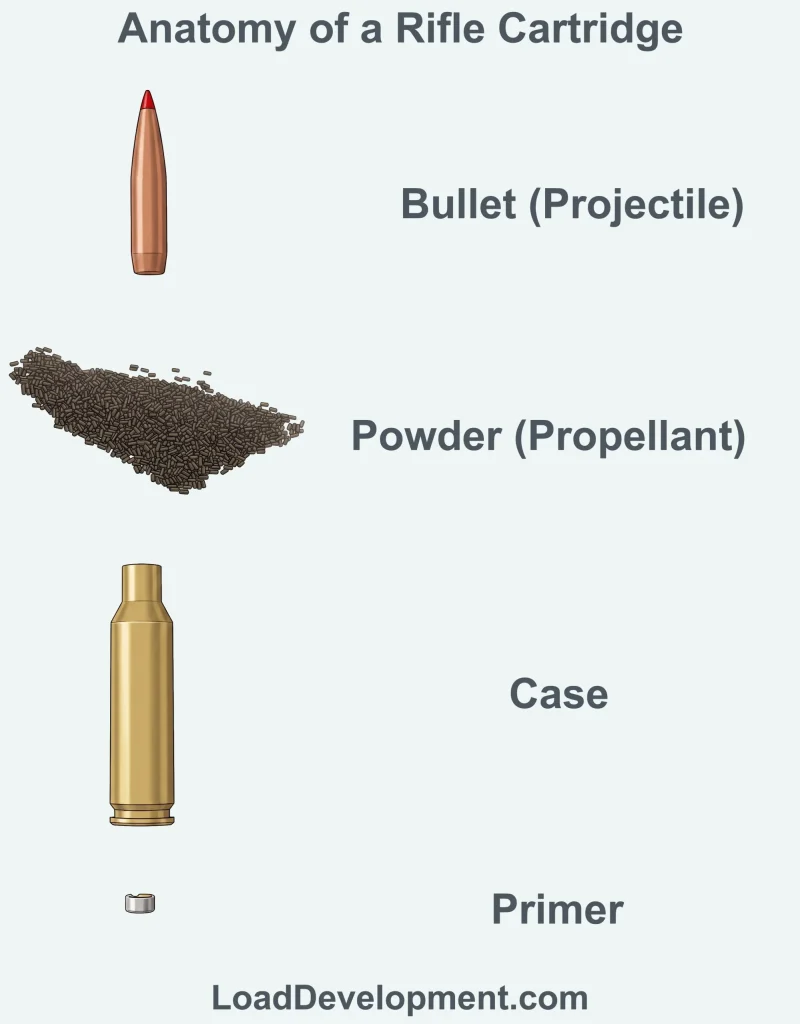An illustration showing the main parts of a bullet cartridge separated: the bullet, casing, gunpowder inside the casing, and primer at the base.